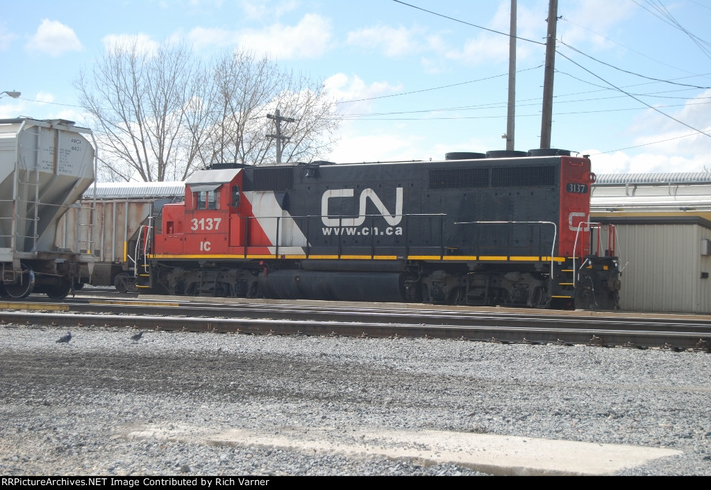 CN (IC) 3137
